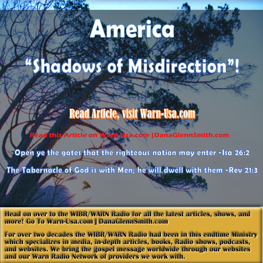 America Shadow of Misdirection article image