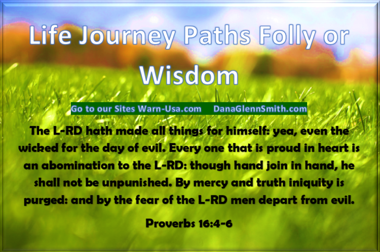 Life Journey Paths Folly or Wisdom