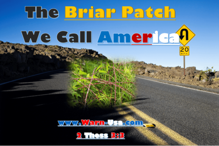 The Briar Patch We Call America