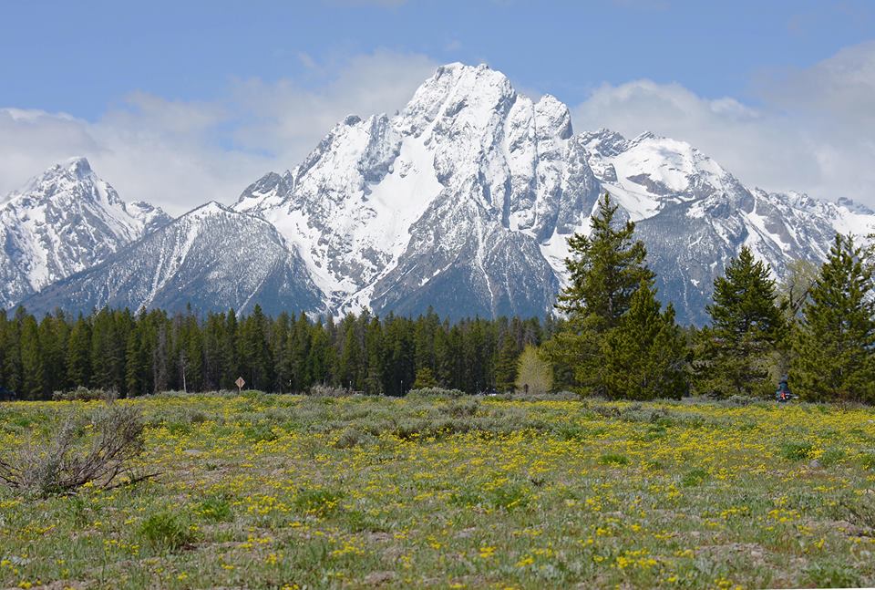 Clear Picture of Mount Moran with Snow on top
